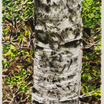 Printmaking titled "Birch Trunk #1" by Michael E. Voss, Original Artwork, Oil