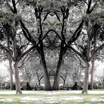 Fotografia zatytułowany „Madison Park 23 - T…” autorstwa Ken Lerner, Oryginalna praca, Fotografia cyfrowa