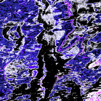 Fotografie mit dem Titel "Madison Park 23 - F…" von Ken Lerner, Original-Kunstwerk, Digitale Fotografie