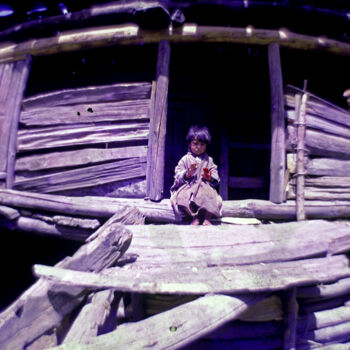 Photographie intitulée "Wooden Hut" par Panna Jain, Œuvre d'art originale, Photographie argentique