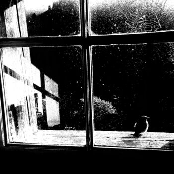 Photographie intitulée "PLEINE LUNE" par Solune, Œuvre d'art originale, Photographie numérique