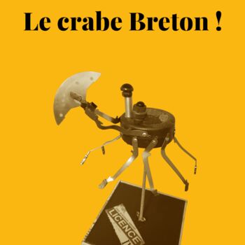 제목이 "LE CRABE BRETON !"인 조형물 Catherine Delaforge (KTY95)로, 원작, 알루미늄