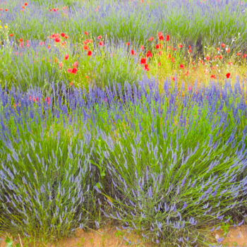 Photography titled "Feux d'artifice" by Jean-Claude Mathier, Original Artwork, Digital Photography