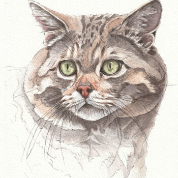 제목이 "Wildkatze Portait"인 그림 Lilla Varhelyi로, 원작, 잉크