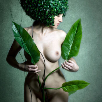 The Plant