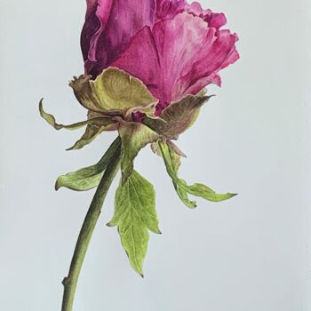 Ζωγραφική με τίτλο "Peony bud" από Anna Levchuk, Αυθεντικά έργα τέχνης, Ακουαρέλα