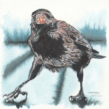 제목이 "Rabenvogel 15 Krähe"인 그림 Lilla Varhelyi로, 원작, 잉크