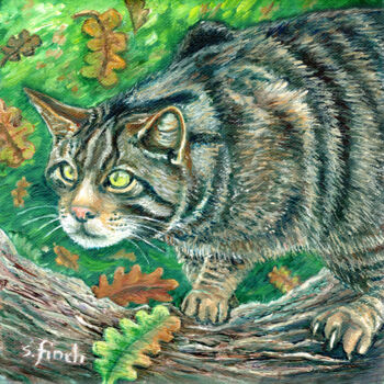 제목이 "Spirit of Wildcat"인 미술작품 Sonia Finch로, 원작, 기름 나무 들것 프레임에 장착됨