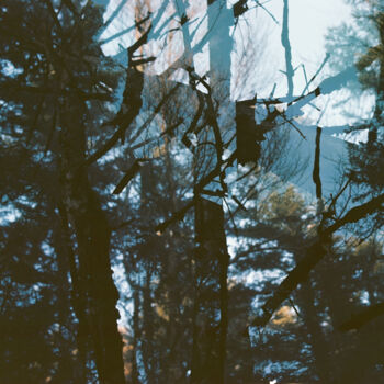 Photography titled "Abstraction des col…" by Martin Ecker, Original Artwork, Analog photography