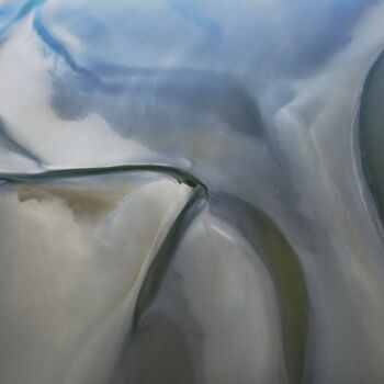 Photography titled "Seal Head" by Pierre Piton, Original Artwork, Digital Photography