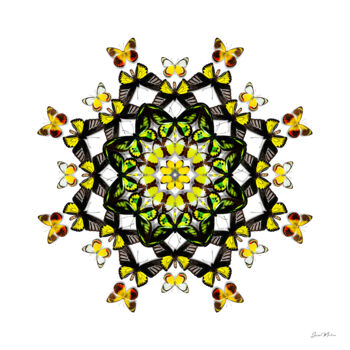Photographie intitulée "Composition Mendi" par Jérôme Marteau, Œuvre d'art originale, Photographie numérique Monté sur Alumi…