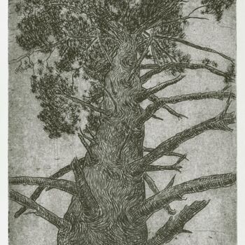 제목이 "Pinetree Kingdom"인 판화 Maslova로, 원작, 조각