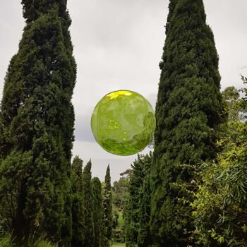 Photographie intitulée "La belle verte" par Véronique Jaques, Œuvre d'art originale, Photographie numérique