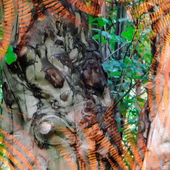 Photography titled "les Z'amis" by Véronique Jaques, Original Artwork, Digital Photography