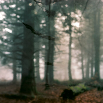 Photography titled "Abstraction des col…" by Martin Ecker, Original Artwork, Analog photography
