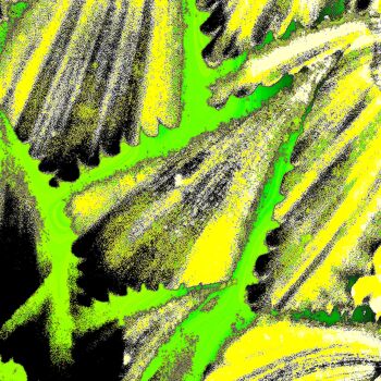 Φωτογραφία με τίτλο "Cactus Leaves 1b" από Ken Lerner, Αυθεντικά έργα τέχνης, Ψηφιακή φωτογραφία