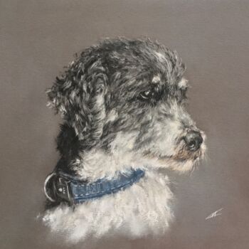 Tekening getiteld "Poodle" door Irene_art, Origineel Kunstwerk, Pastel