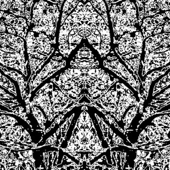 Photography titled "Snow on a Tree 1d9d" by Ken Lerner, Original Artwork, Digital Photography