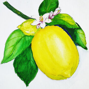 绘画 标题为“Lemon on the branch…” 由Maryna Pohorielko, 原创艺术品, 水彩