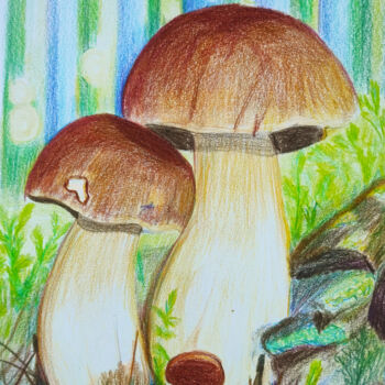 绘画 标题为“Boletus edulis” 由Maryna Pohorielko, 原创艺术品, 铅笔