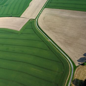 摄影 标题为“Polder 7 - Agricult…” 由Pierre Piton, 原创艺术品, 数码摄影