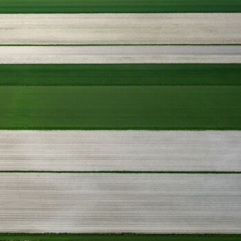 摄影 标题为“Polder 17 - Agricul…” 由Pierre Piton, 原创艺术品, 数码摄影