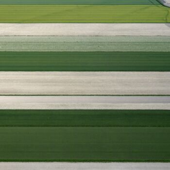 Photography titled "Polder 18 - Agricul…" by Pierre Piton, Original Artwork, Digital Photography