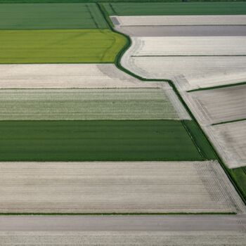 Φωτογραφία με τίτλο "Polder 19 - Agricul…" από Pierre Piton, Αυθεντικά έργα τέχνης, Ψηφιακή φωτογραφία