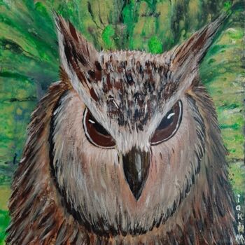 Dessin intitulée "Regard de hibou" par Iakim, Œuvre d'art originale, Acrylique Monté sur Châssis en bois