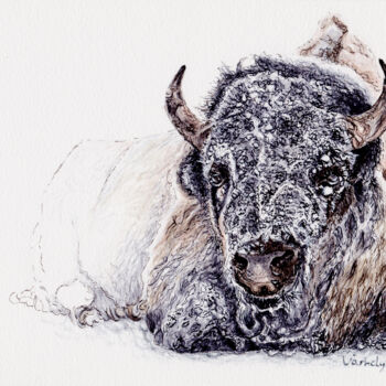 Drawing titled "Schneebison" by Lilla Varhelyi, Original Artwork, Ink