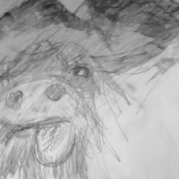 「Highland Buffalo」というタイトルの描画 Skylor Timelessによって, オリジナルのアートワーク, 鉛筆
