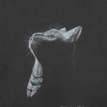 Dessin intitulée "Le chat" par Eric Audry, Œuvre d'art originale, Craie