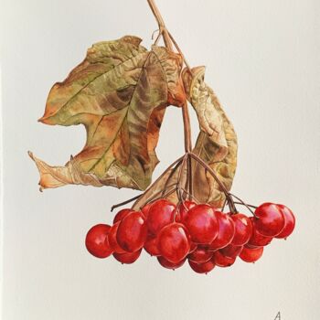 Ζωγραφική με τίτλο "Guelder rose" από Anna Levchuk, Αυθεντικά έργα τέχνης, Ακουαρέλα
