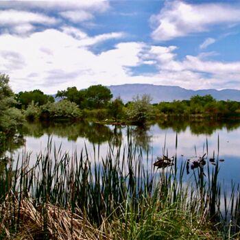 Fotografia intitolato "Albuquerque Nature…" da Joseph Anthony Quattromini, Opera d'arte originale, Fotografia non manipolata