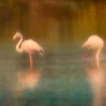 Photographie intitulée "The blue lake" par Catherine Lefrancq, Œuvre d'art originale, Photographie numérique Monté sur Alumi…