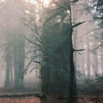 Photography titled "ABSTRACTION DES COL…" by Martin Ecker, Original Artwork, Analog photography