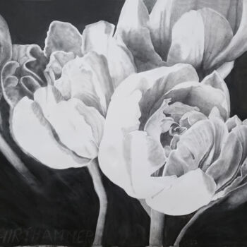 Dessin intitulée "white on black" par Josef Hirthammer, Œuvre d'art originale, Fusain
