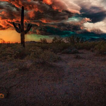 제목이 "Sonoran Sunrise"인 사진 James H Egbert로, 원작, 디지털