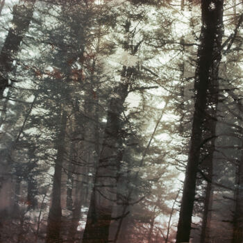 Photography titled "ABSTRACTION DES COL…" by Martin Ecker, Original Artwork, Analog photography