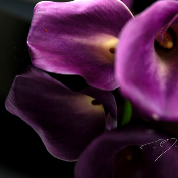 Photography titled "Emulate" by Eric C. Jackson, Original Artwork, Digital Photography