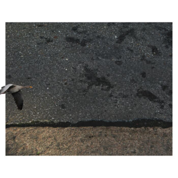 Fotografia intitulada "asphalt landscape 5…" por Nicolas Lespagnol, Obras de arte originais, Fotografia Não Manipulada Monta…
