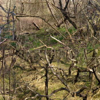 Photography titled "welded landscapes (…" by Nicolas Lespagnol, Original Artwork, Non Manipulated Photography Mounted on Oth…