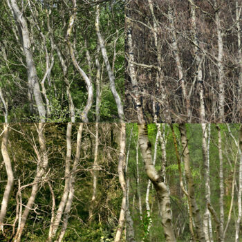 Photography titled "Welded landscapes (…" by Nicolas Lespagnol, Original Artwork, Non Manipulated Photography Mounted on Oth…