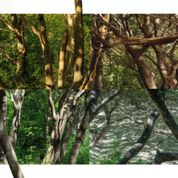 Fotografia intitolato "Welded landscapes (…" da Nicolas Lespagnol, Opera d'arte originale, Fotografia non manipolata Montato…