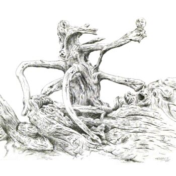 Drawing titled "Domination" by Pierre Fabry, Original Artwork, Ink