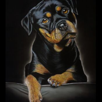 Dessin intitulée "Le petit roytweiler" par Michel Guillet, Œuvre d'art originale, Pastel