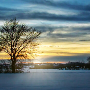 Photography titled "A lonely tree in th…" by Dejan Travica, Original Artwork, Digital Photography