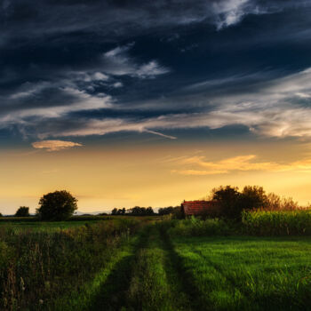 Photography titled "Country road at sun…" by Dejan Travica, Original Artwork, Digital Photography