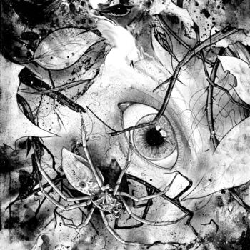 Drawing titled "Araignée" by Léo Saint-Arroman, Original Artwork, Ink