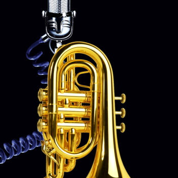 "Blow Your Own Trump…" başlıklı Dijital Sanat Moreno Franco tarafından, Orijinal sanat, Akrilik